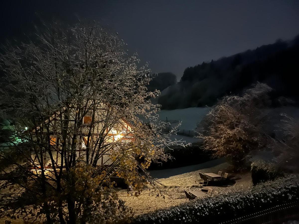 5 Willingen Apartment Willingen (Upland)